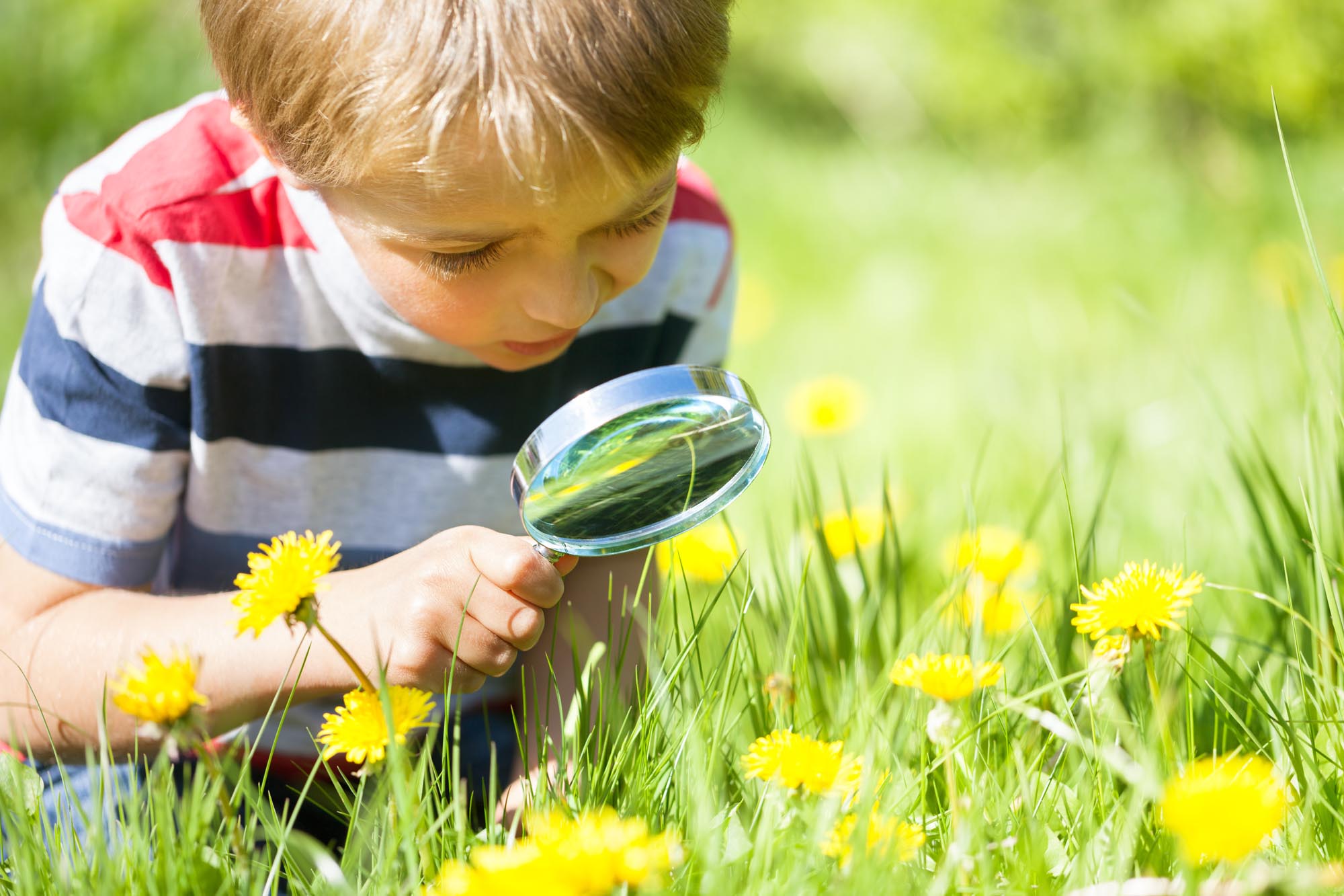 Claves Para Que Ni Os Aprendan En Vacaciones