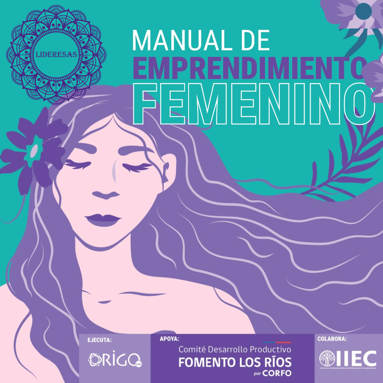 Lanzan Manual De Emprendimiento Femenino